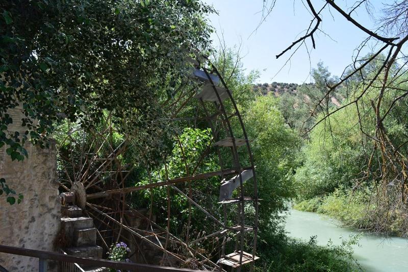La Casa Del Jabonero - Selenity Homes Cuevas Bajas エクステリア 写真